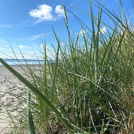 Die Oase-deine Auszeit In Der Idylle & Am Meer Prázdninový dům *